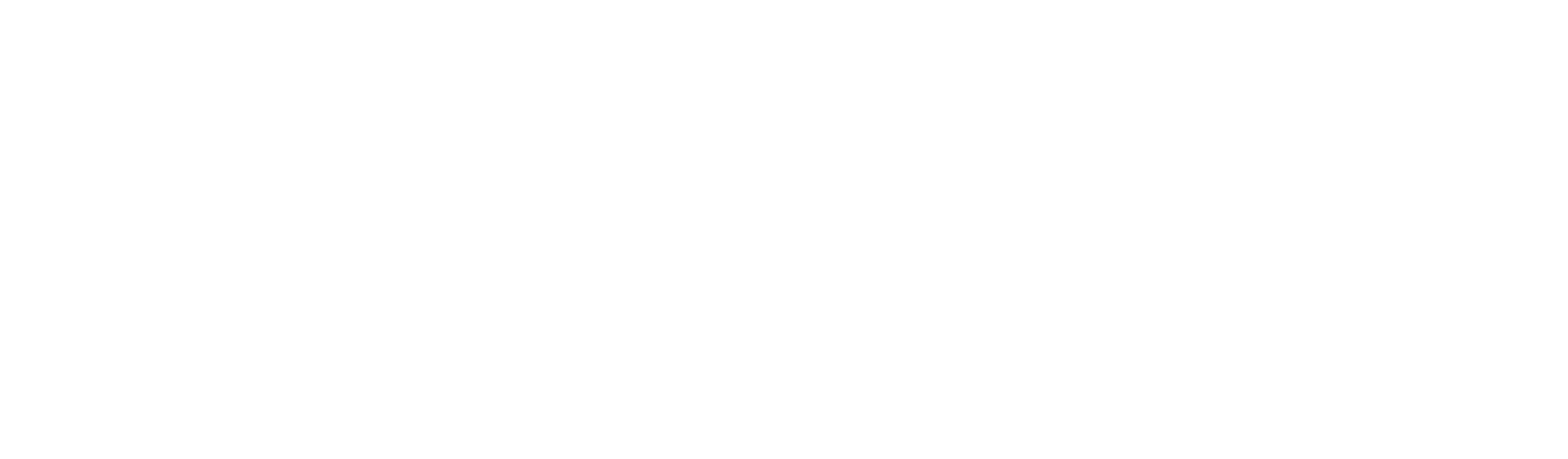 asaas Icon